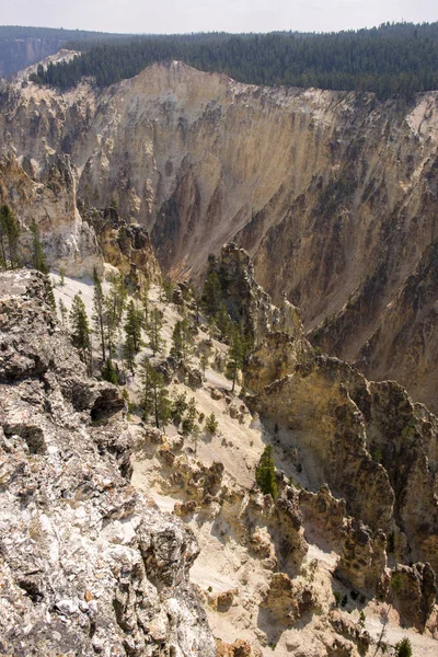 Río Yellowstone Cae Gran Cañón Parque Nacional Yellowstone Wyoming — Foto de Stock