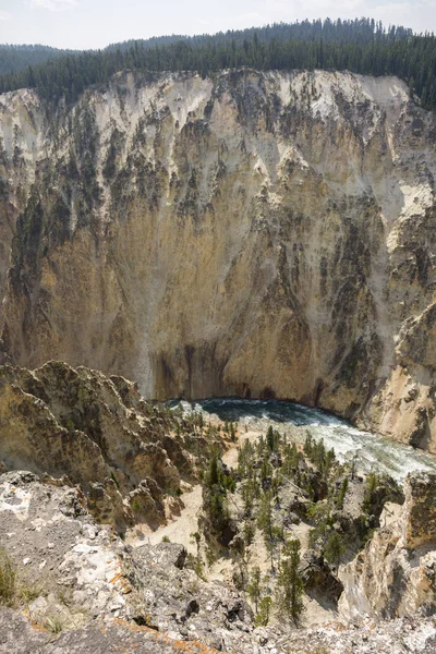 Yellowstone River Und Fällt Inrand Canyon Yellowstone Nationalpark Wyoming — Stockfoto