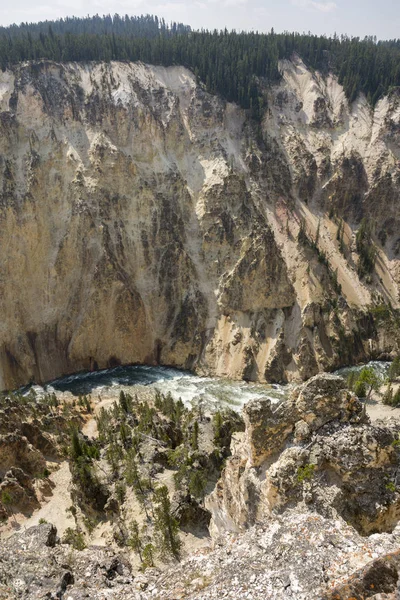 Rio Yellowstone Garganta Ingrand Das Quedas Parque Nacional Yellowstone Wyoming — Fotografia de Stock