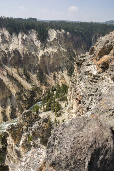 Río Yellowstone Cae Gran Cañón Parque Nacional Yellowstone Wyoming — Foto de Stock