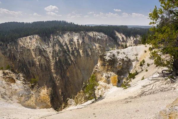 Río Yellowstone Cae Gran Cañón Parque Nacional Yellowstone Wyoming — Foto de Stock