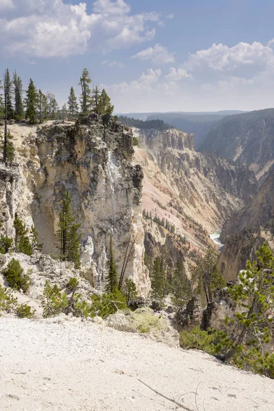 Río Yellowstone Cae Gran Cañón Parque Nacional Yellowstone Wyoming — Foto de Stock