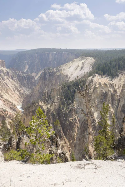 Río Yellowstone Cae Gran Cañón Parque Nacional Yellowstone Wyoming — Foto de Stock