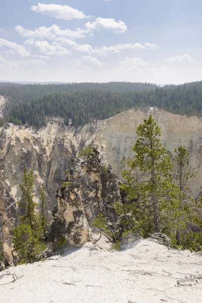 Rio Yellowstone Garganta Ingrand Das Quedas Parque Nacional Yellowstone Wyoming — Fotografia de Stock