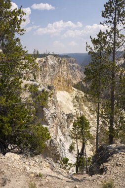Yellowstone Nehri ve Wyoming Yellowstone Milli Parkı 'nda ingrand Kanyon düşüyor