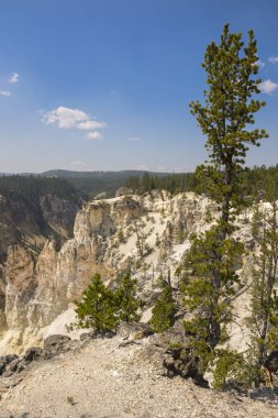 Yellowstone Nehri ve Wyoming Yellowstone Milli Parkı 'nda ingrand Kanyon düşüyor