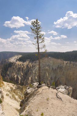 Yellowstone Nehri ve Wyoming Yellowstone Milli Parkı 'nda ingrand Kanyon düşüyor