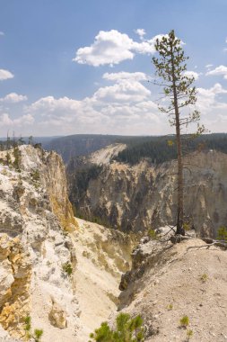 Yellowstone Nehri ve Wyoming Yellowstone Milli Parkı 'nda ingrand Kanyon düşüyor