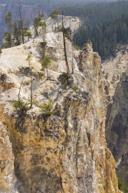 Yellowstone Nehri ve Wyoming Yellowstone Milli Parkı 'nda ingrand Kanyon düşüyor