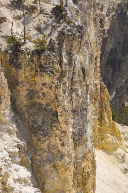 Yellowstone Nehri ve Wyoming Yellowstone Milli Parkı 'nda ingrand Kanyon düşüyor