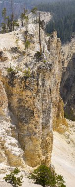 Yellowstone Nehri ve Wyoming Yellowstone Milli Parkı 'nda ingrand Kanyon düşüyor