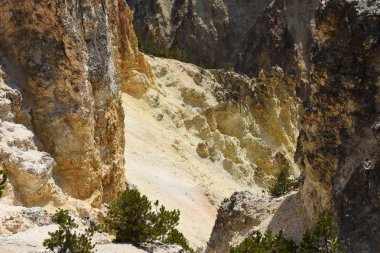 Yellowstone Nehri ve Wyoming Yellowstone Milli Parkı 'nda ingrand Kanyon düşüyor