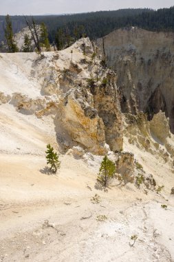 Yellowstone Nehri ve Wyoming Yellowstone Milli Parkı 'nda ingrand Kanyon düşüyor