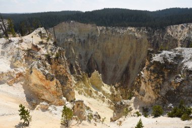 Yellowstone Nehri ve Wyoming Yellowstone Milli Parkı 'nda ingrand Kanyon düşüyor