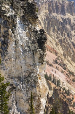Yellowstone Nehri ve Wyoming Yellowstone Milli Parkı 'nda ingrand Kanyon düşüyor