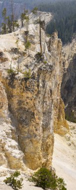 Yellowstone Nehri ve Wyoming Yellowstone Milli Parkı 'nda ingrand Kanyon düşüyor