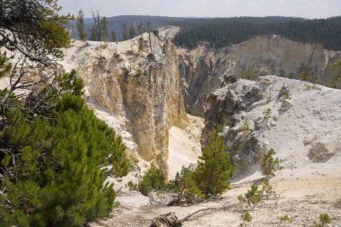 Yellowstone Nehri ve Wyoming Yellowstone Milli Parkı 'nda ingrand Kanyon düşüyor