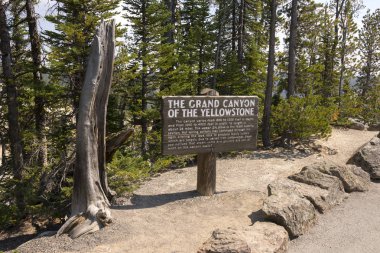 Yellowstone Nehri ve Wyoming Yellowstone Milli Parkı 'nda ingrand Kanyon düşüyor