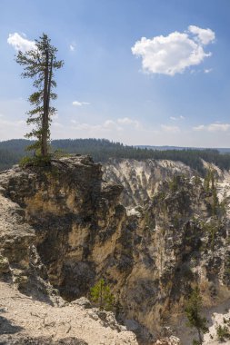 Yellowstone Nehri ve Wyoming Yellowstone Milli Parkı 'nda ingrand Kanyon düşüyor