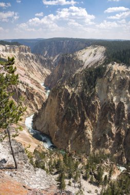 Yellowstone Nehri ve Wyoming Yellowstone Milli Parkı 'nda ingrand Kanyon düşüyor