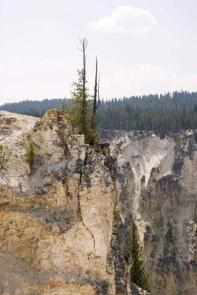 Nažloutlá Řeka Padá Něj Yellowstonské Národní Park Wyomingu — Stock fotografie