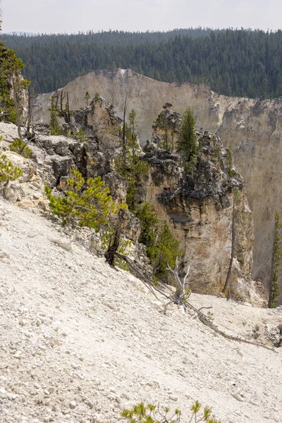 Yellowstone River Och Faller Ingrand Canyon Yellowstone National Park Wyoming — Stockfoto