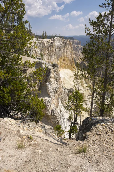 Río Yellowstone Cae Gran Cañón Parque Nacional Yellowstone Wyoming — Foto de Stock
