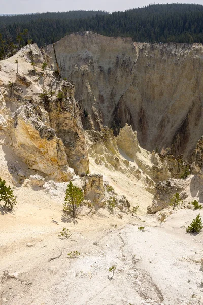 เหล องและห บเขาอ นแลนด ในอ ทยานแห งชาต Yellowstone Wyoming — ภาพถ่ายสต็อก