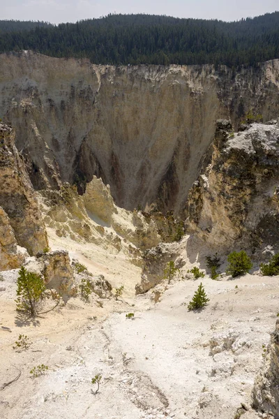 Fiume Yellowstone Cade Ingrand Canyon Nel Parco Nazionale Yellowstone Wyoming — Foto Stock