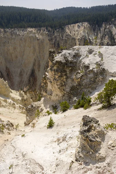เหล องและห บเขาอ นแลนด ในอ ทยานแห งชาต Yellowstone Wyoming — ภาพถ่ายสต็อก