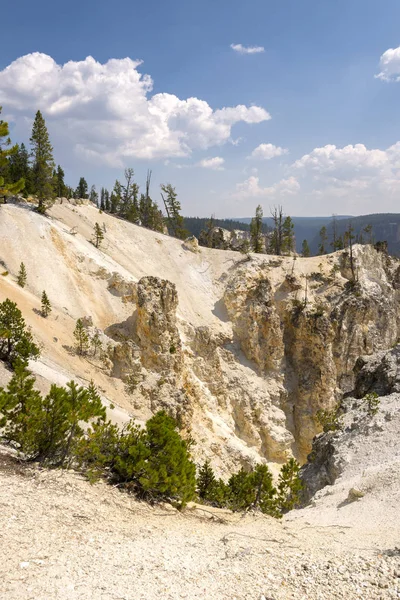 Río Yellowstone Cae Gran Cañón Parque Nacional Yellowstone Wyoming — Foto de Stock