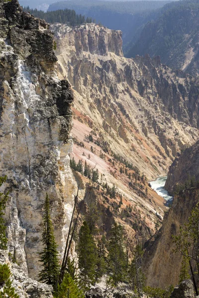 Yellowstone River Och Faller Ingrand Canyon Yellowstone National Park Wyoming — Stockfoto