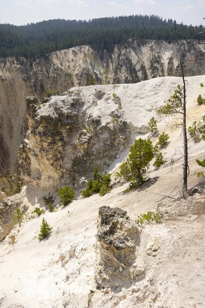 Nažloutlá Řeka Padá Něj Yellowstonské Národní Park Wyomingu — Stock fotografie