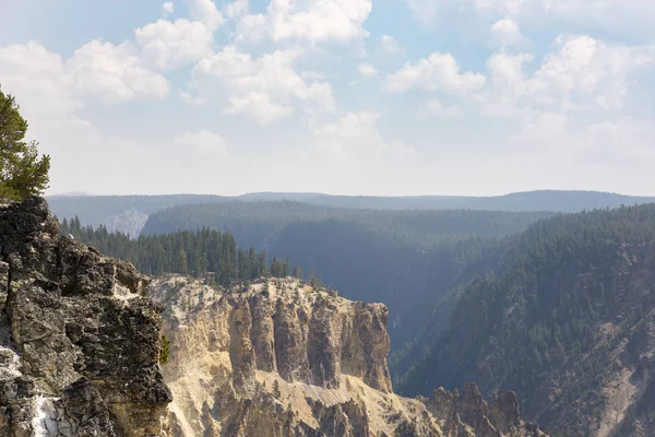 Río Yellowstone Cae Gran Cañón Parque Nacional Yellowstone Wyoming — Foto de Stock