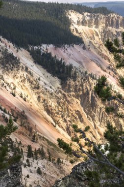 Yellowstone Nehri ve Wyoming Yellowstone Milli Parkı 'nda ingrand Kanyon düşüyor