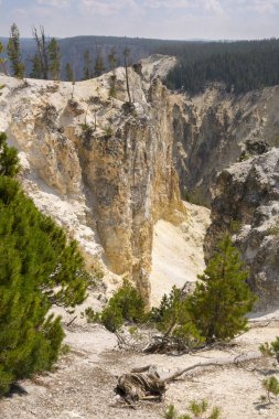 Yellowstone Nehri ve Wyoming Yellowstone Milli Parkı 'nda ingrand Kanyon düşüyor