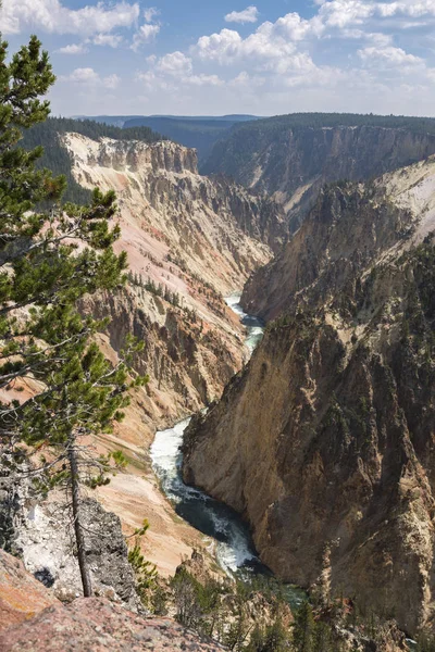 Yellowstone Nehri ve Wyoming Yellowstone Milli Parkı 'nda ingrand Kanyon düşüyor