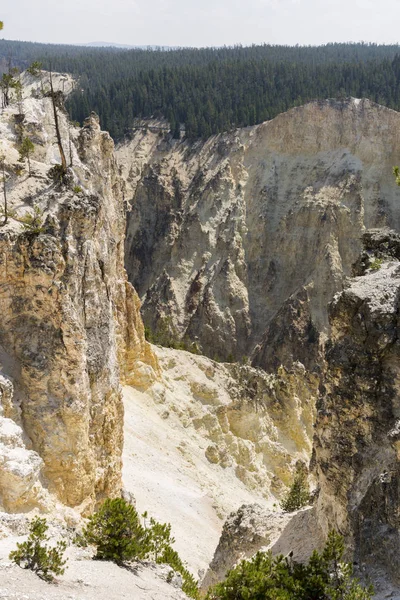 Yellowstone River Falls Ingrand Canyon Yellowstone National Park Wyoming — Stockfoto