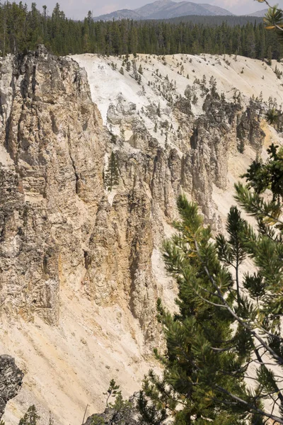 Río Yellowstone Cae Gran Cañón Parque Nacional Yellowstone Wyoming — Foto de Stock