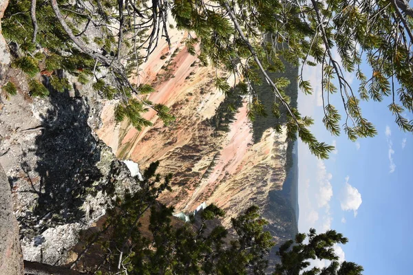 Nažloutlá Řeka Padá Něj Yellowstonské Národní Park Wyomingu — Stock fotografie