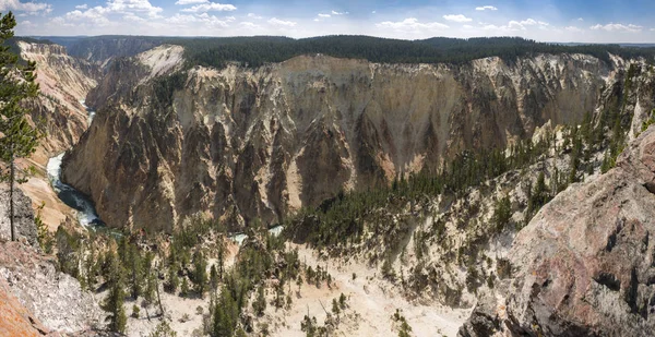 Río Yellowstone Cae Gran Cañón Parque Nacional Yellowstone Wyoming — Foto de Stock