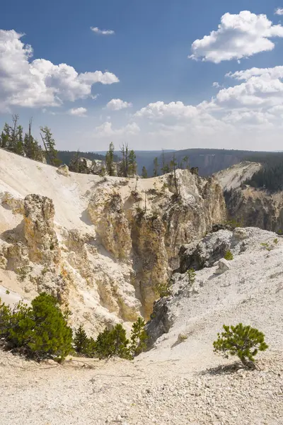 Río Yellowstone Cae Gran Cañón Parque Nacional Yellowstone Wyoming — Foto de Stock