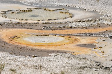 Wyoming Yellowstone Milli Parkı'nda eski sadık Havzası'nda Gayzer
