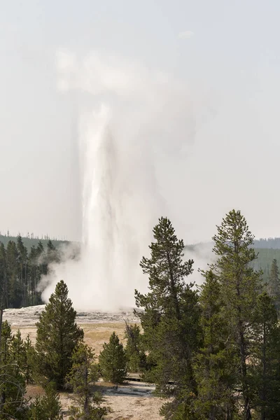 Geyser Old Faithful Basin Yellowstone National Park Wyoming — Stock Photo, Image