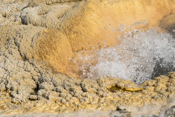 Geyser Nell Antico Fedele Bacino Nel Parco Nazionale Yellowstone Nel — Foto Stock