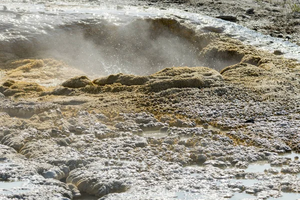 Geiser Antigua Cuenca Fiel Parque Nacional Yellowstone Wyoming —  Fotos de Stock