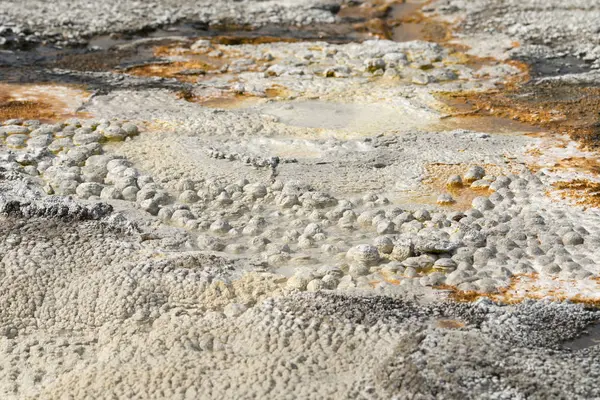 와이오밍 옐로스톤 국립공원의 오래된 충실한 분지의 간헐천 — 스톡 사진