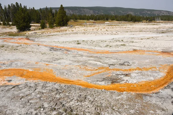 Geiser Antigua Cuenca Fiel Parque Nacional Yellowstone Wyoming — Foto de Stock