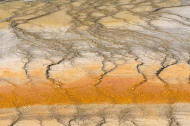 Wyoming Yellowstone Milli Parkı'nda büyük prizmatik bahar Havzası gayzer