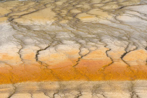 Géiser Gran Cuenca Prismática Primavera Parque Nacional Yellowstone Wyoming — Foto de Stock